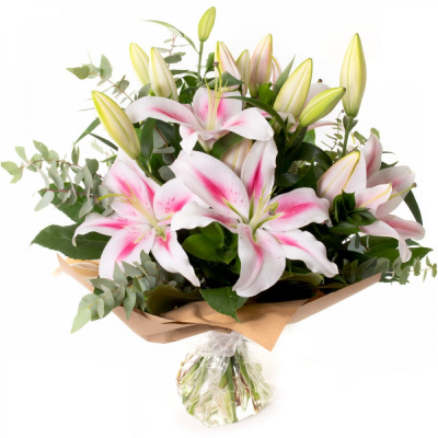 Star Gaze - A special gift of long lasting Oriental Lilies so simple, so perfect. Star Gaze - A special gift of long lasting Oriental Lilies so simple, so perfect.