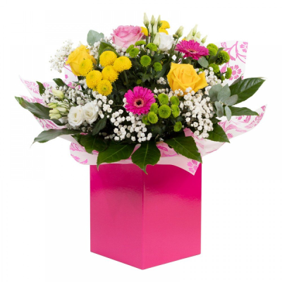Mamma Mia - Make their day with this bright and vibrant collection of flowers, beautifully presented in a gift box / bag.  Mamma Mia - Make their day with this bright and vibrant collection of flowers, beautifully presented in a gift box / bag.