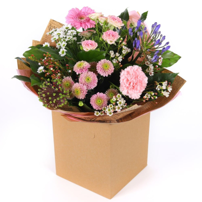 Pink Radiance - Description Pink Radiance - Description